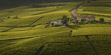 colline barbera michele chiarlo