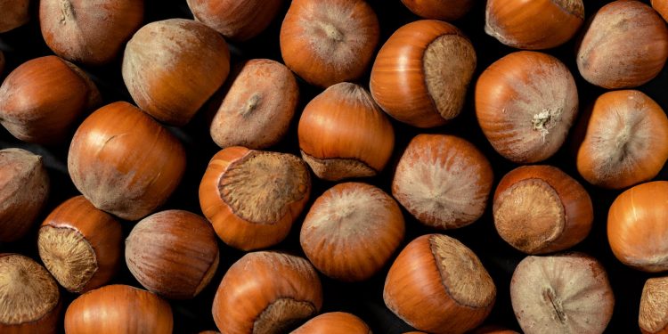 Cortemilia: il profumo di un tempo ritrovato.